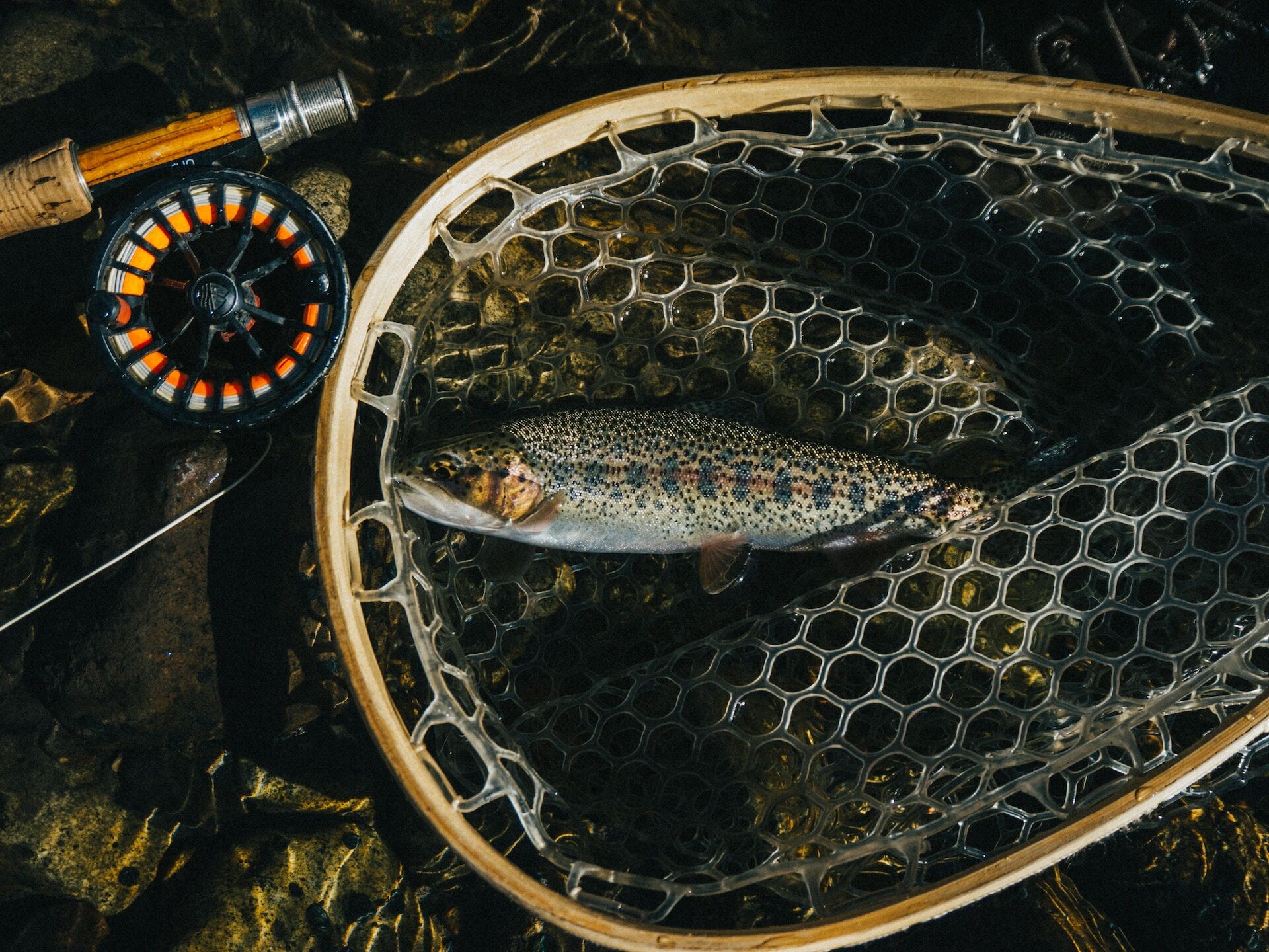 Go fishing in Telluride, Colorado on your next vacation