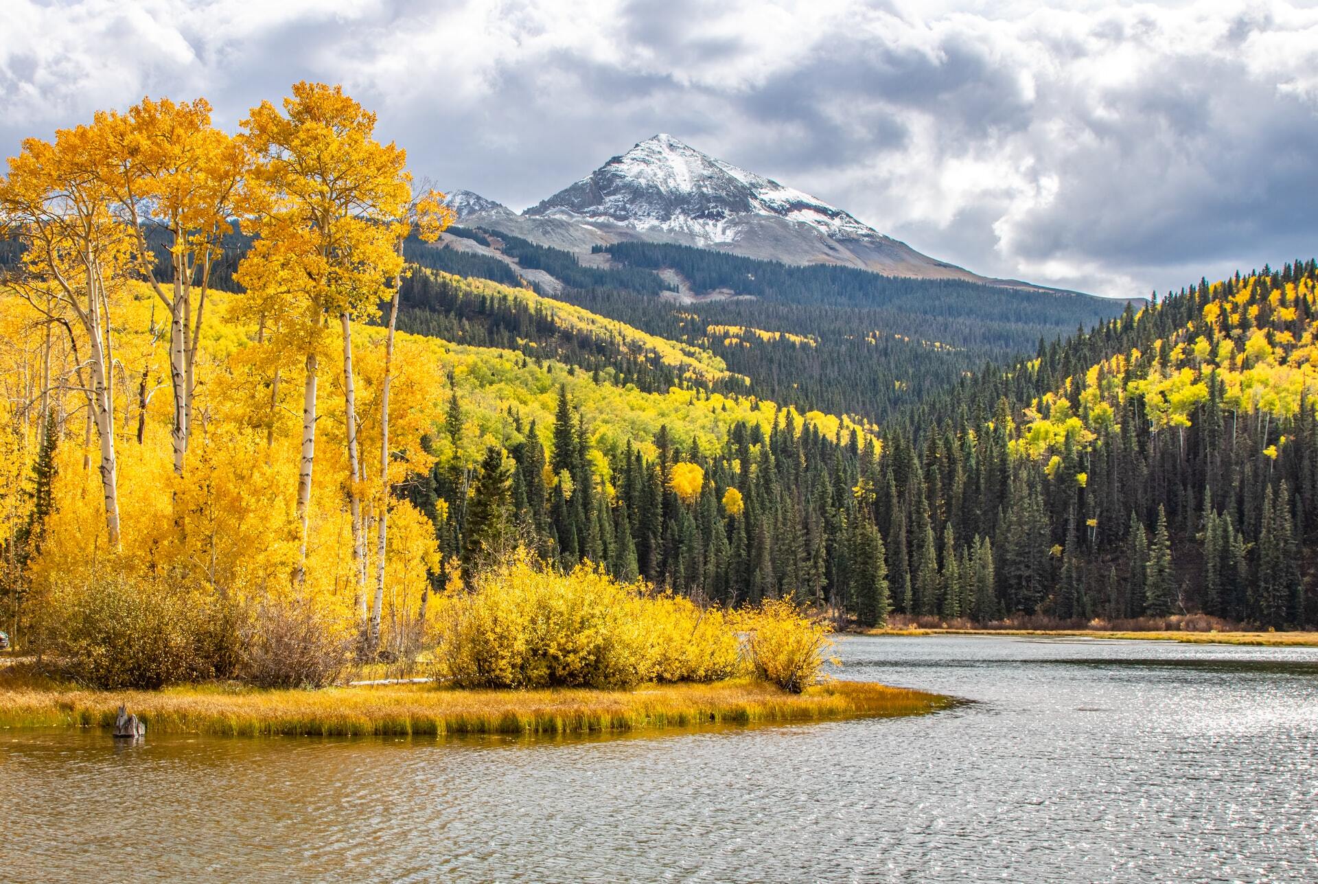 Telluride Information